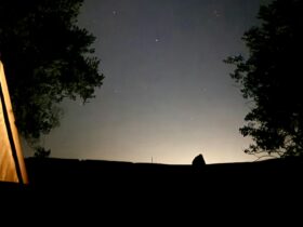 Quails Ridge Farm Stay