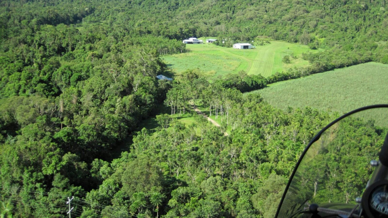 Rainforest Stream Near Cairns