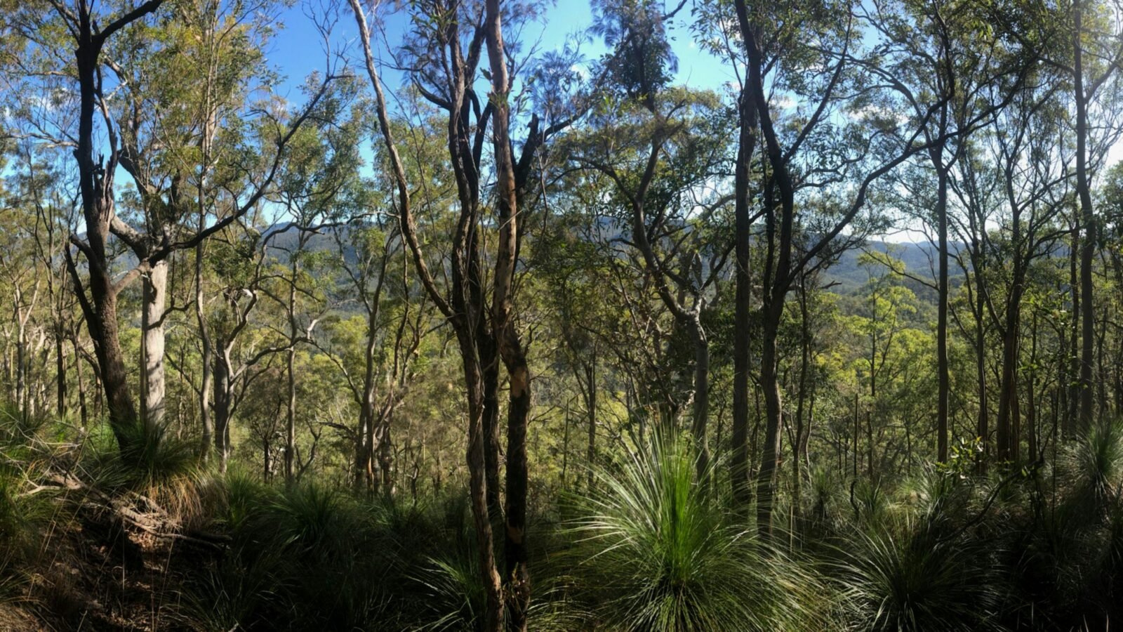 View from the walk around the property.