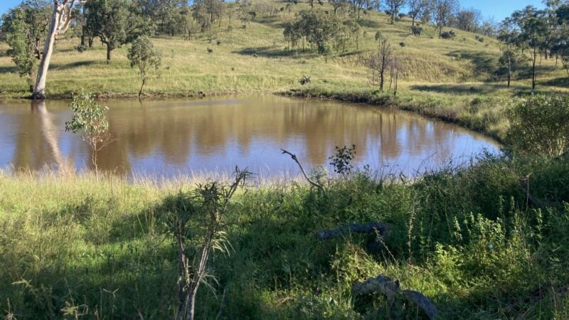 There is mowed area just up from the dam to camp.
