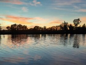 River Rd Ranch