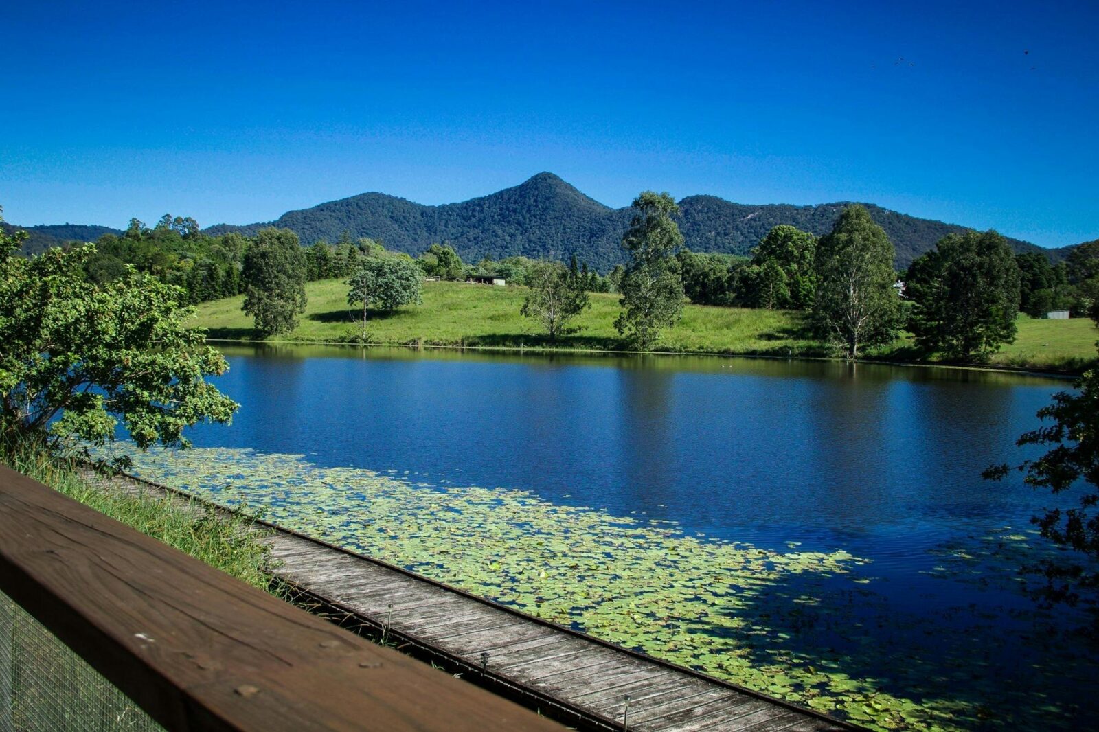 View from Lakeside Cottages