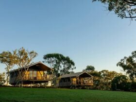 External family pavilions