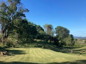 Teviotville Scenic Retreat main campsite