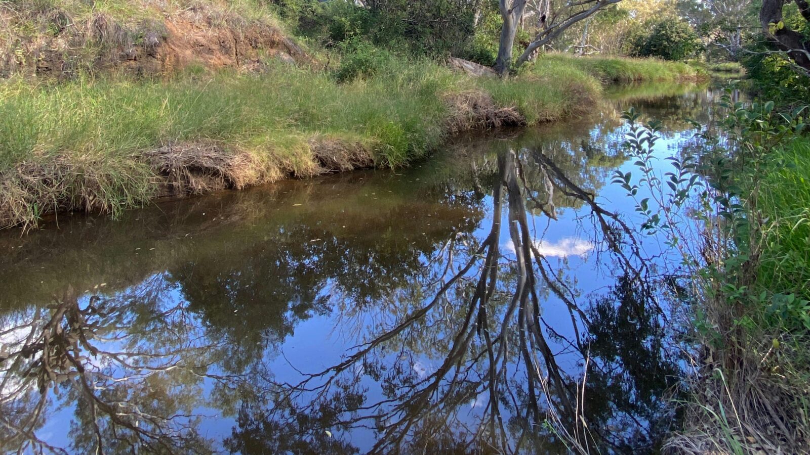 Seasonal fresh water creek. Perfect to teach the kids how to catch yabbies, spot turtles or take a dip and escape the heat.
