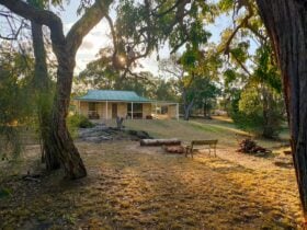 Front of the Frog Hollow Cottage at sunset, with butcherbirds and trees surrounding the property