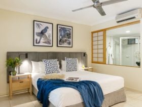 One Bedroom Apartment