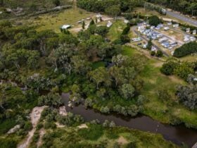 Riverside Caravan Park Camping Holiday Park - Stanthorpe