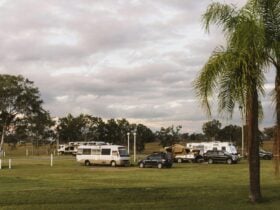 Area for the powered site