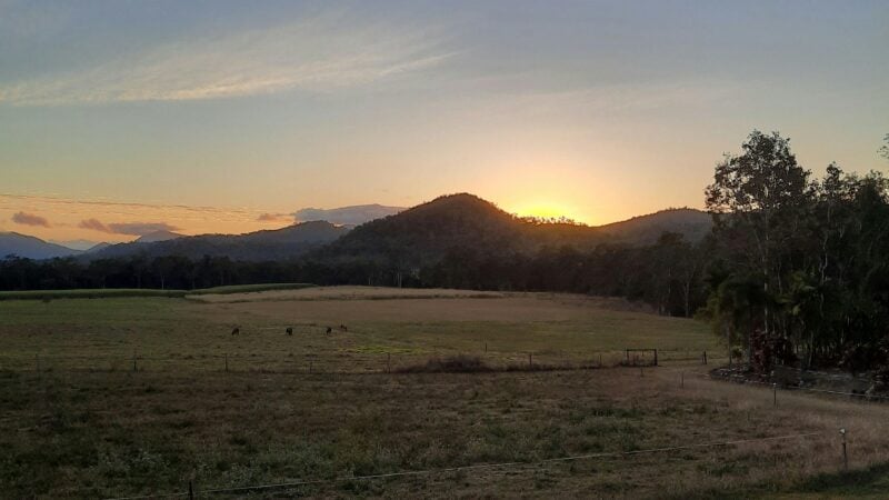 SweetStock, Kuttabul