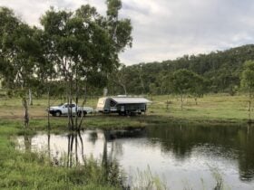 Camp beside the dam