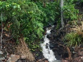 Waterfall down the talweg