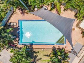 Pool | Tasman Holiday Parks - Torquay Palms