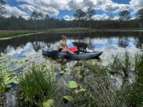 Dam Like a small lake for Swimming and Kayaking