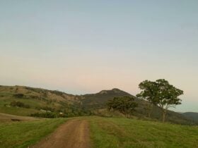 Farm Stay 1100acres
