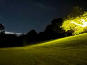The Enchanted Paddock