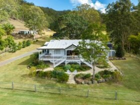 Renovated Queenslander