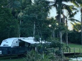 Camp site by pond