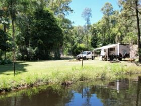 Tranquil Bush Retreat - Sheldon