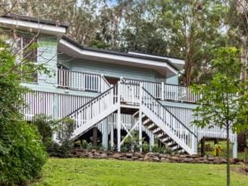 Tree House - Outside