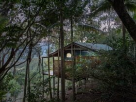 Seaview Treehouse