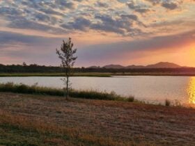 Waterview Birding Retreat Kimalo St
