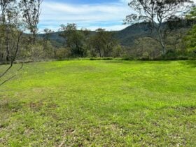 The camping spot is flat and grassy