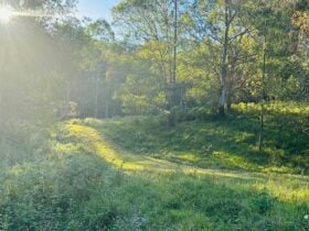 Whites Ridge