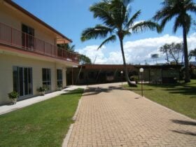 Whitsunday Palms Motel
