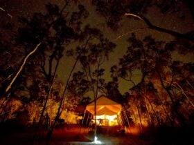 a starry night view of the boutique safari-style tent