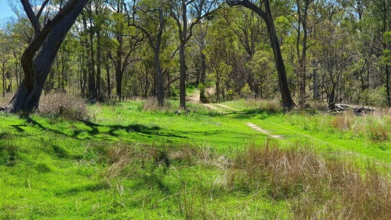 Entry to Wild Peach Creek. Not always so green except after a good rain. Colours untouched!