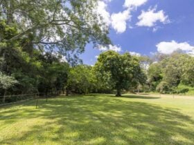 Windyridge Creekside Camp