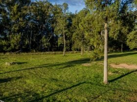 Vineyard camp area (unpowered)