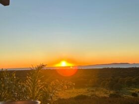 Yeppoon Farmstay