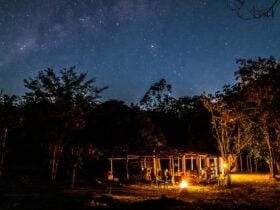 Camping under the stars
