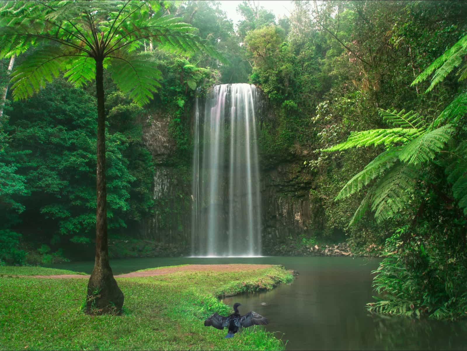 Tropical North Queensland