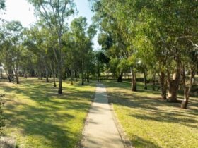 A cement pathway amongst large shady trees and surrounded by grass