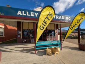 Alley Cat Trading