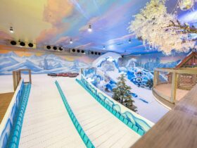 Area 51 Ipswich Snow World