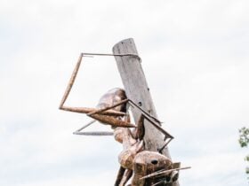 Augathella Meat Ant Park