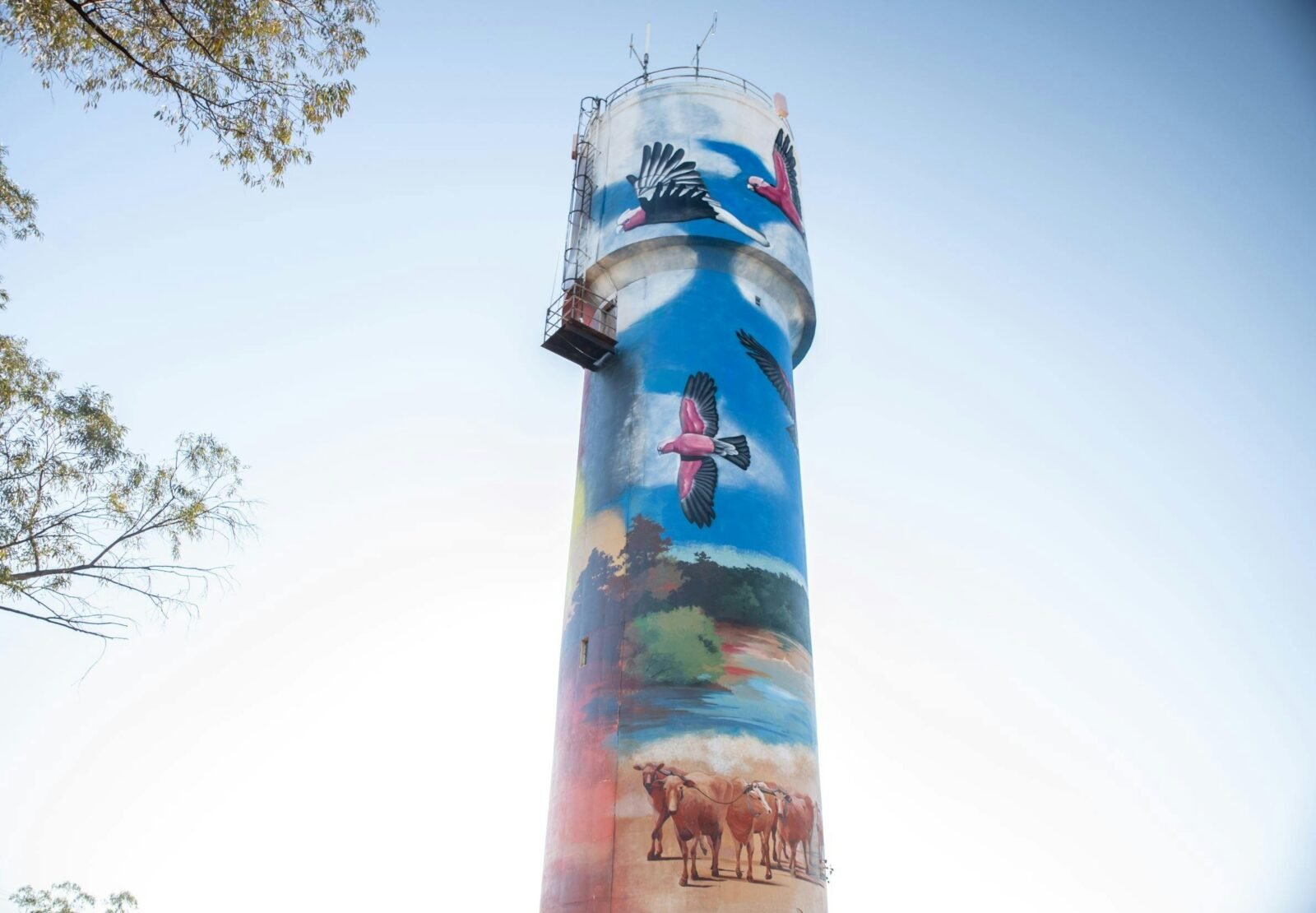 Augathella Water Tower Mural