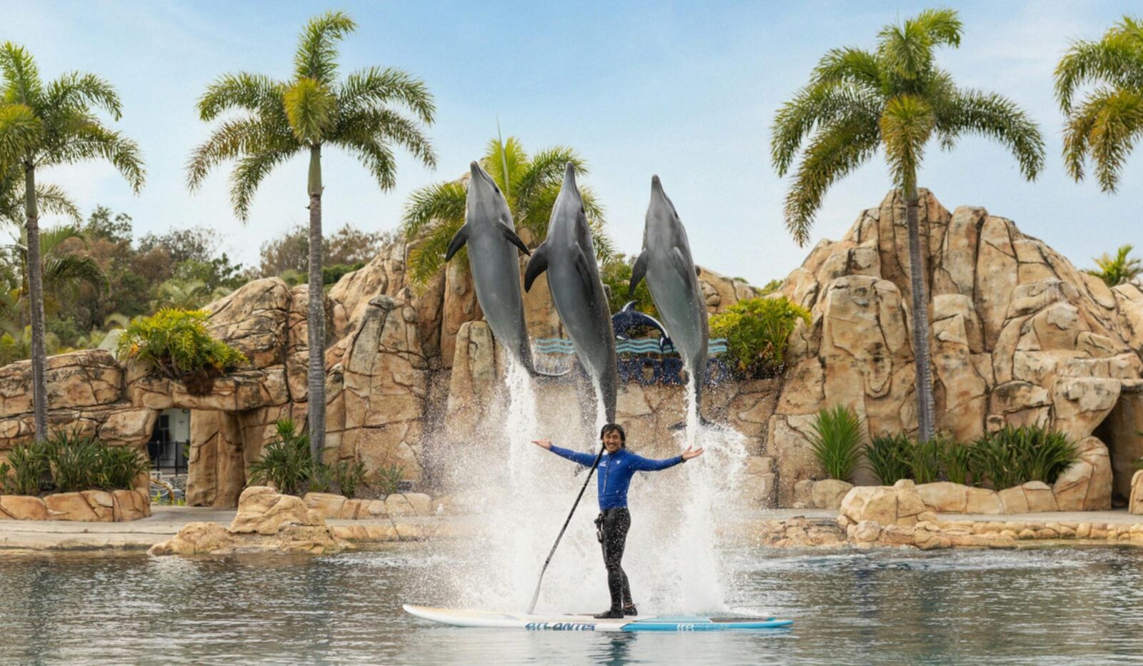 ONE Dolphin Presentation - Sea World