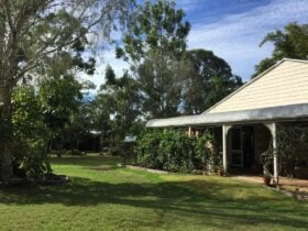 photo showing part of the cottage verandah and a grassed area outside