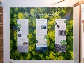 One of the displays in Babinda Museum