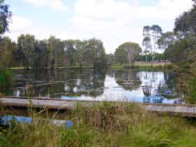 Baldwin Swamp