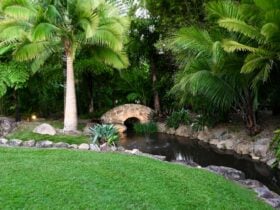 Bamboo Land Lovers Bridge Alcove