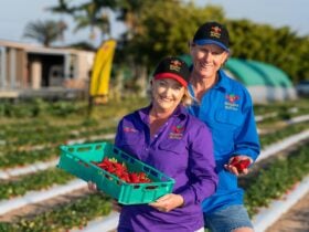 Where the events all take place