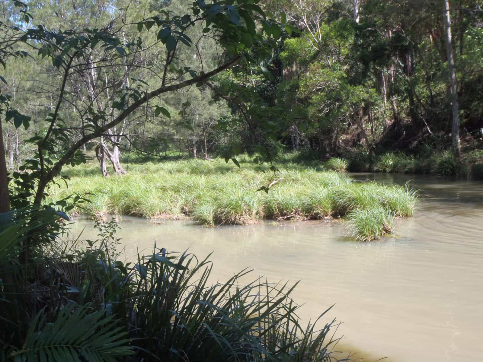 Creek at Bellthore National Park