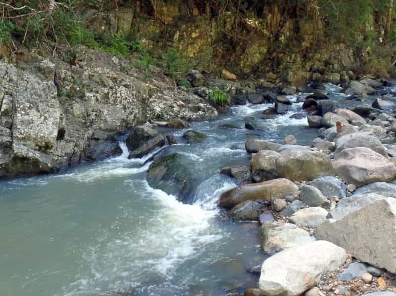 Stony Creek, Bellthorpe National Park