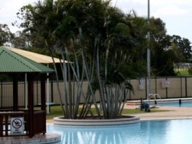 Visit Logan Bethania Aquatic Centre